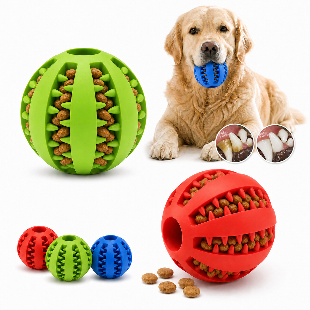 Balle dentaire interactive pour chien, vue principale