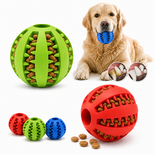 Balle dentaire interactive pour chien, vue principale