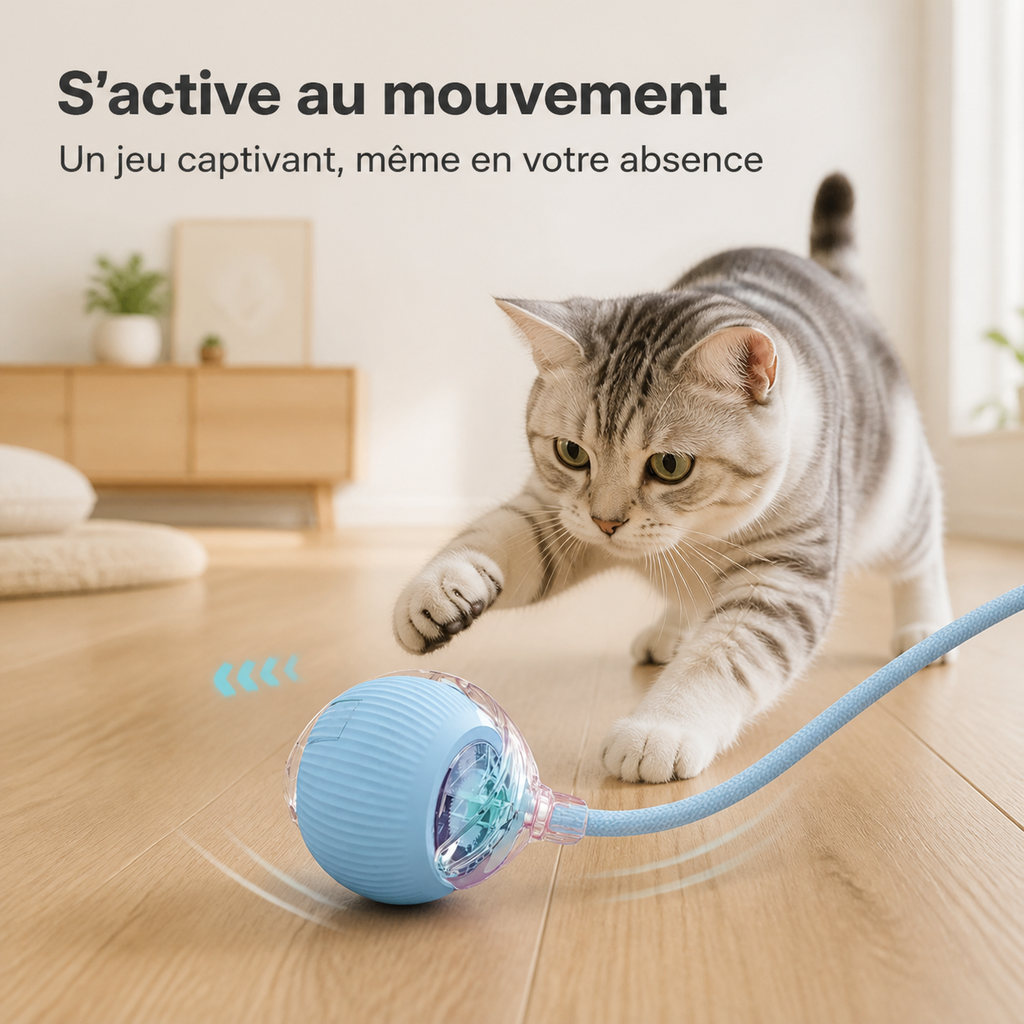 Balle interactive pour chat qui s'active au mouvement