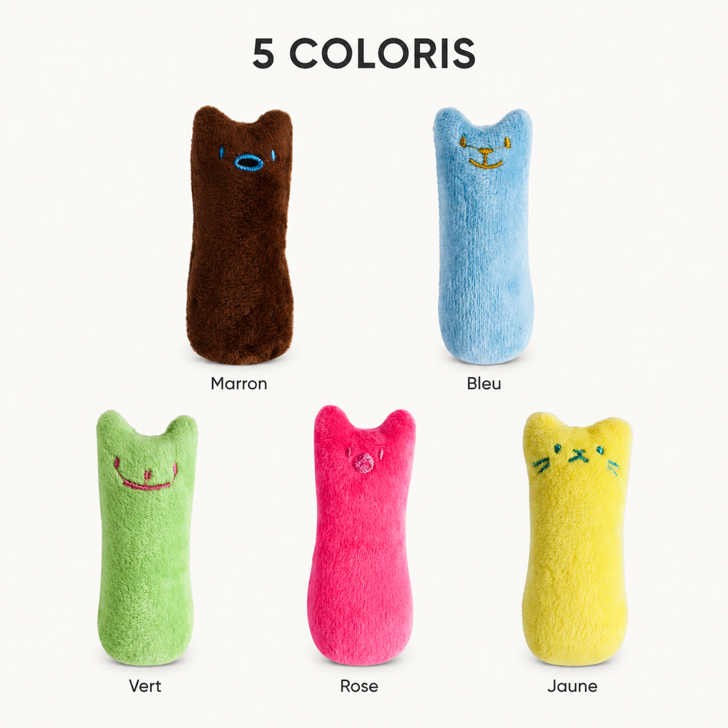 Jouet herbe-à-chat, 5 coloris disponibles