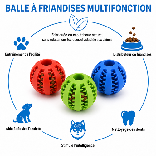Balle Dentaire Interactive pour Chien