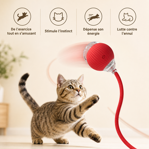 Bénéfices de la balle interactive pour le jeu du chat