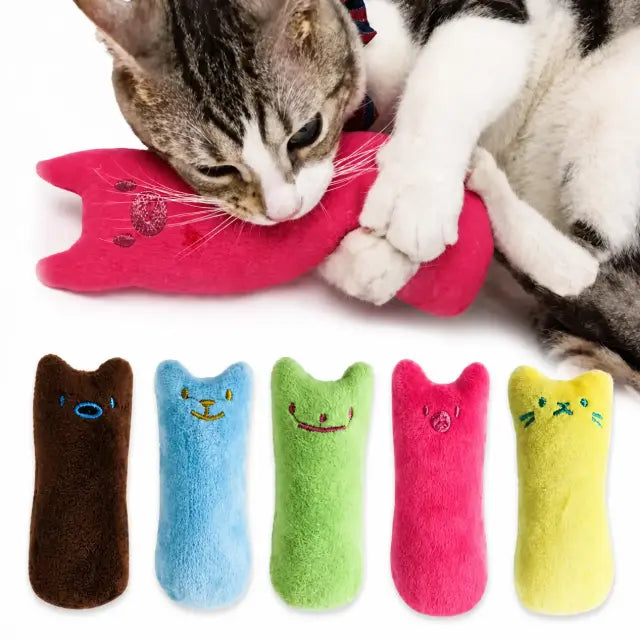 Jouet herbe-à-chat pour chat, vue principale